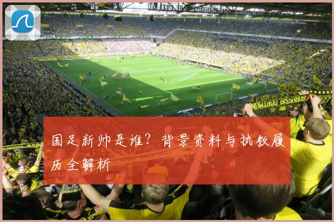 国足新帅是谁？背景资料与执教履历全解析