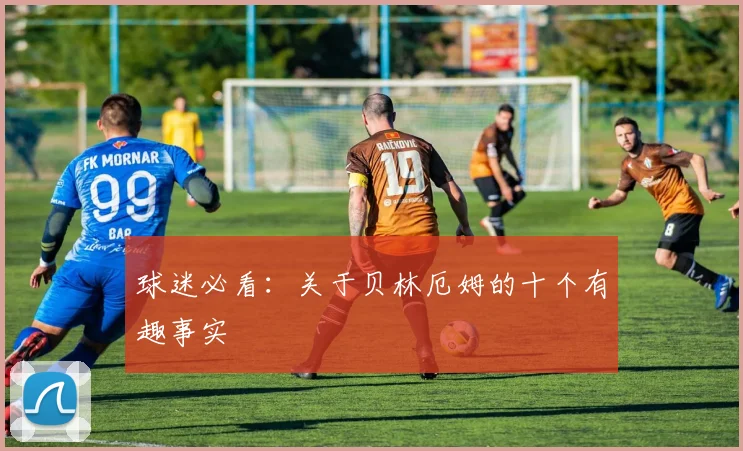 球迷必看：关于贝林厄姆的十个有趣事实