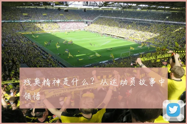 残奥精神是什么？从运动员故事中领悟