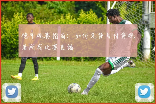 德甲观赛指南：如何免费与付费观看所有比赛直播